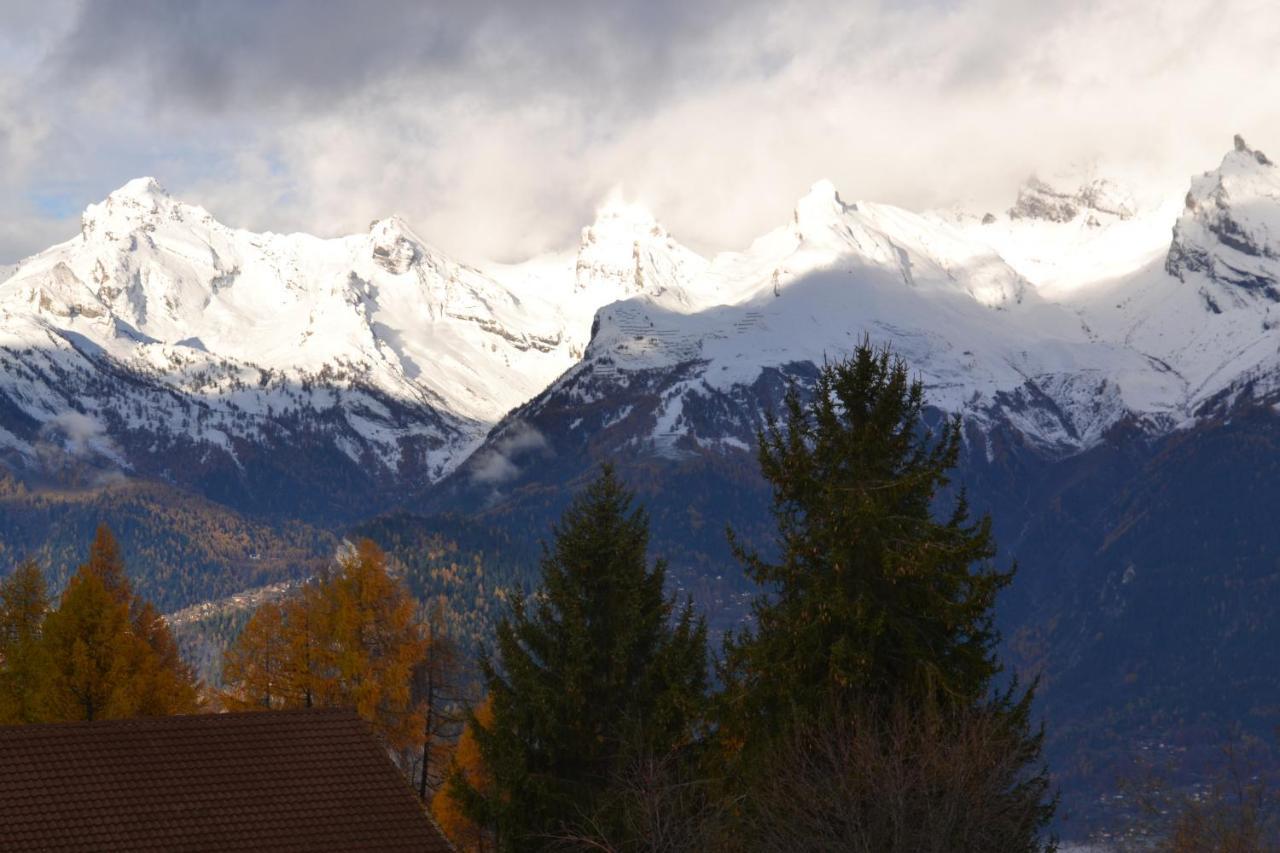 Les 2 Sabots Villa Nendaz Exterior foto